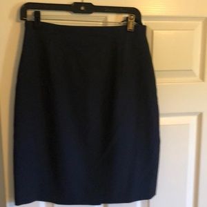 Navy Skirt